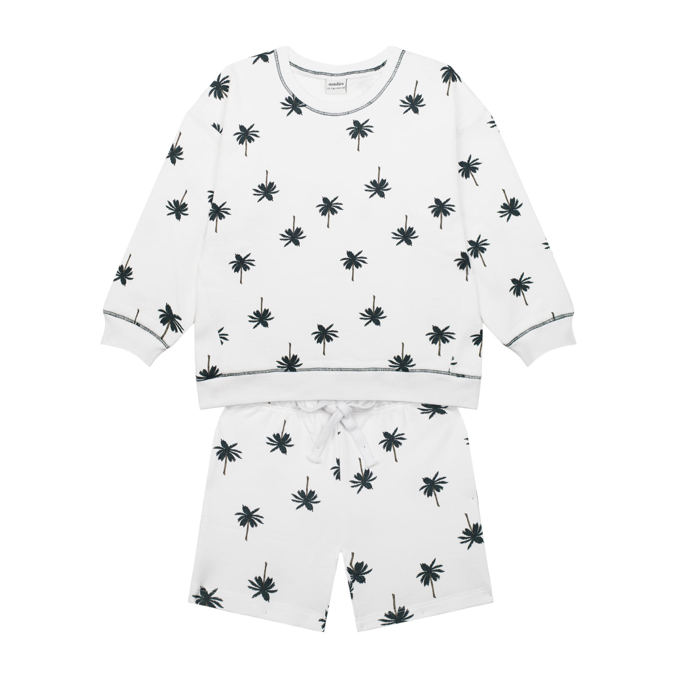 Palm Springs Shorts Set