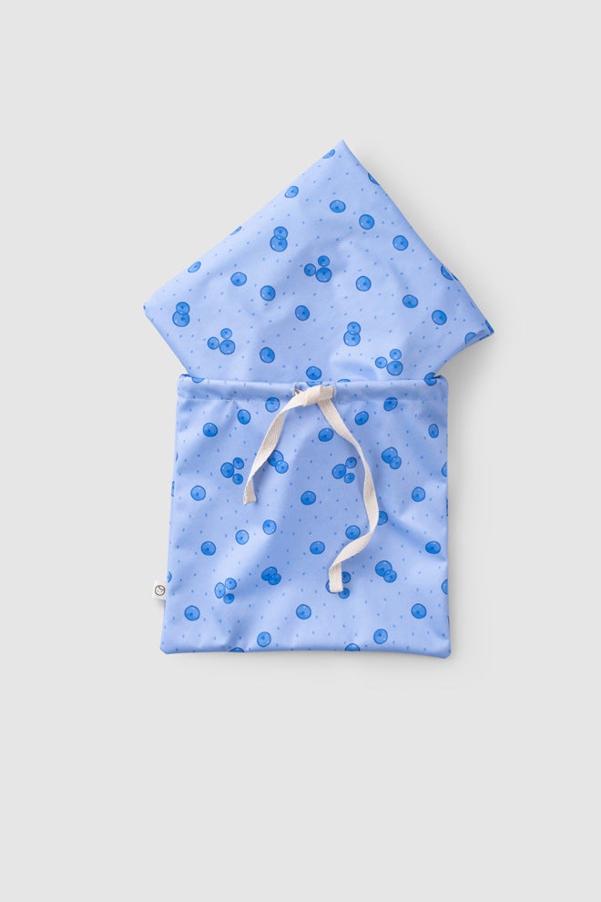 Blueberry Bib & Pouch