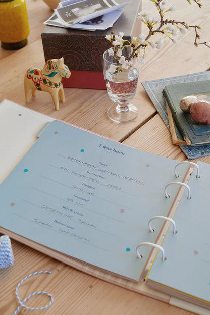 My First Years - Baby Journal by Specialday in Multi