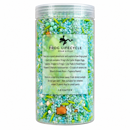 Frog Lifecycle - Pour & Play