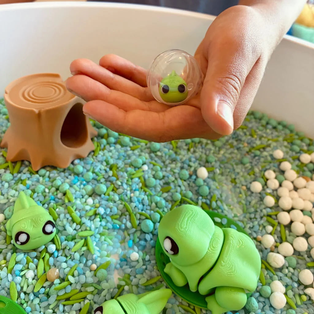 Frog Lifecycle - Pour & Play