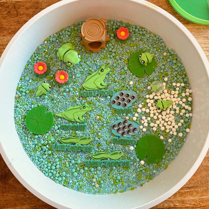 Frog Lifecycle - Pour & Play