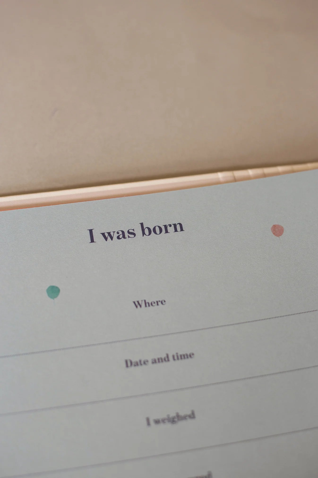 My First Years - Baby Journal by Specialday in Multi