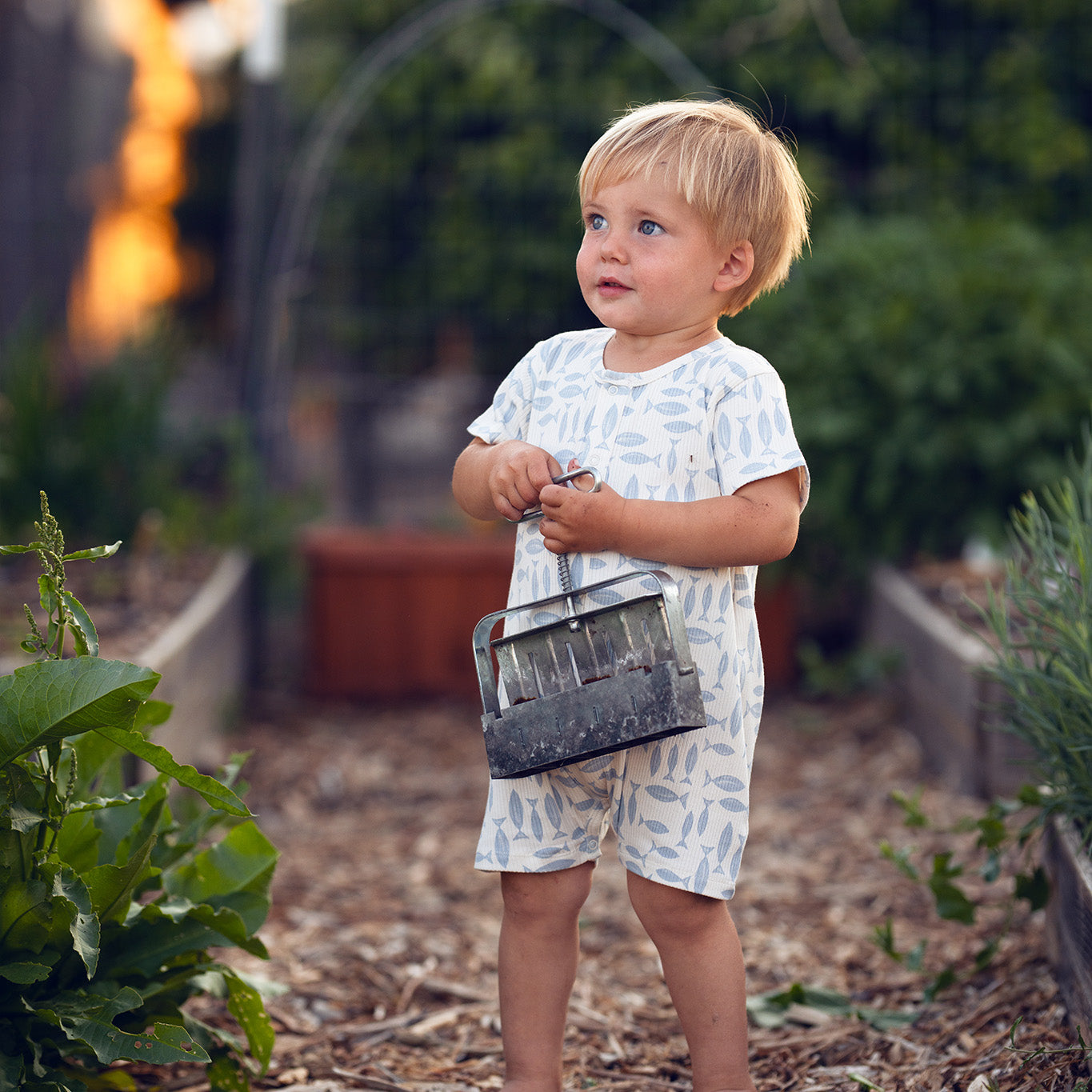 Blue Fish Parade Romper