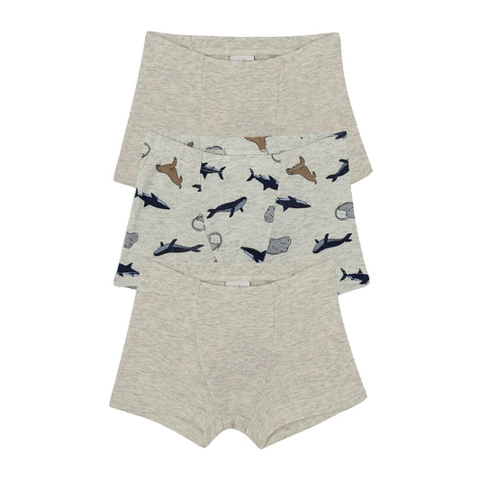 Fish and Fun Print Boxers