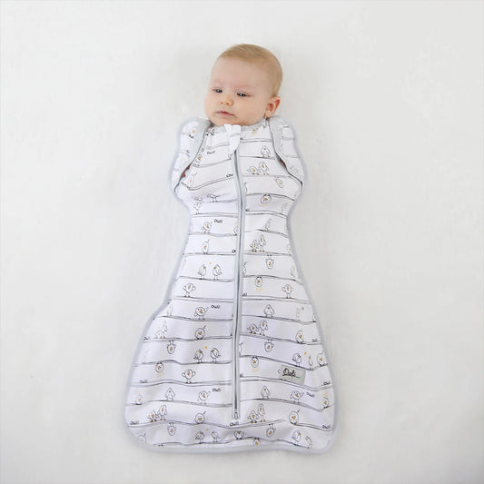 Early Birds 2-in-1 Swaddle